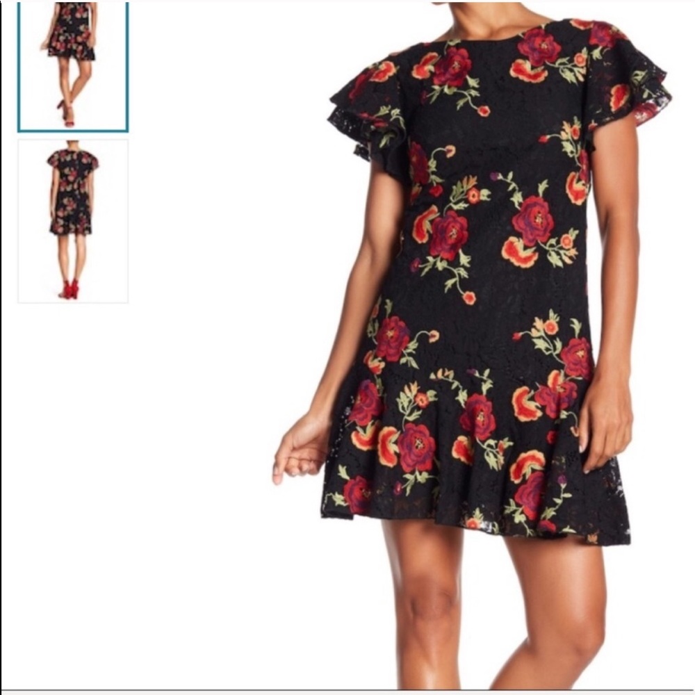 NWT Eva Franco Lotus Floral Embroidered lace dress - Picture 1 of 8
